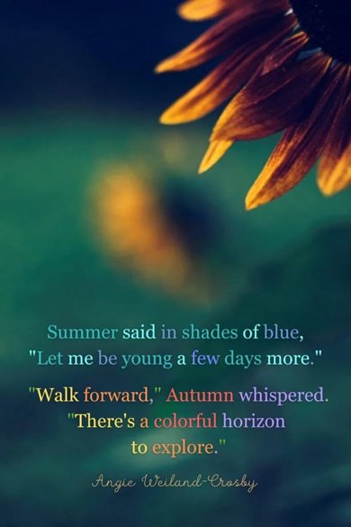 summer said in shades of blue quote