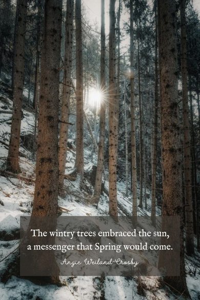 wintry trees quote