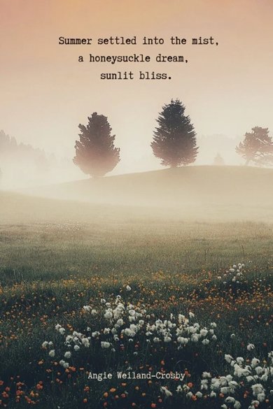 summer settled into the mist quote