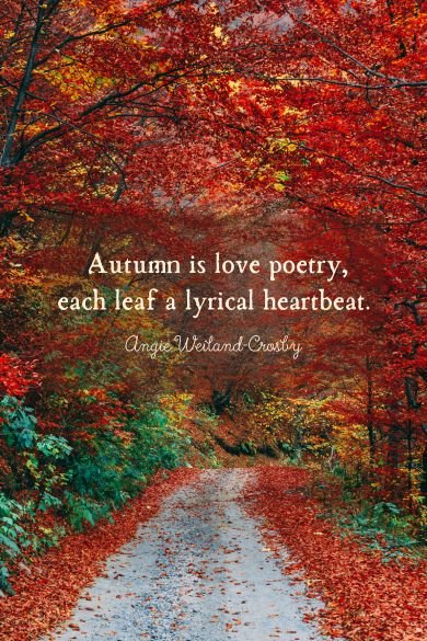 autumn is love poetry