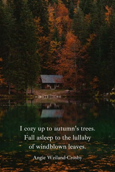 fall asleep to the lullaby of windblown leaves quote