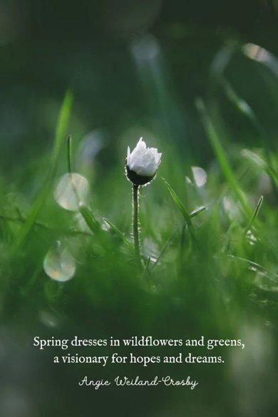 spring dresses quote