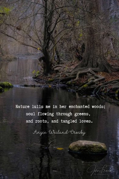 nature love quote