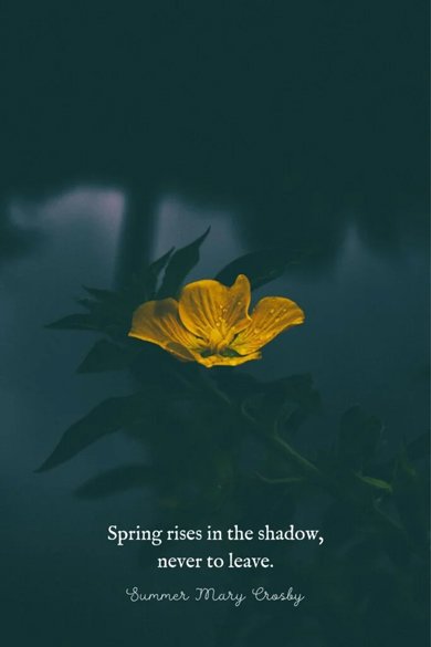 spring rises shadow quote