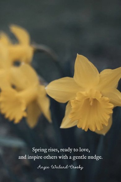 spring rises quote