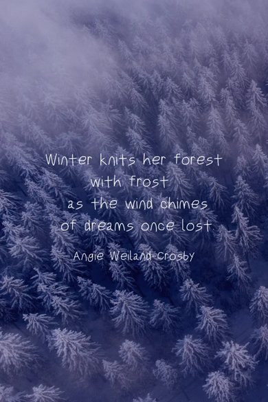 travel in snow quotes