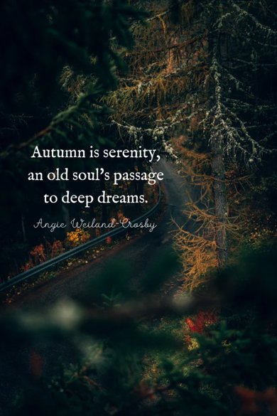 an old soul's passage to deep dreams quote