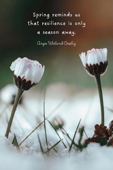 spring reminds us quote