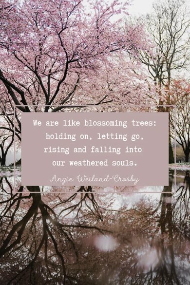 like blossoming quote