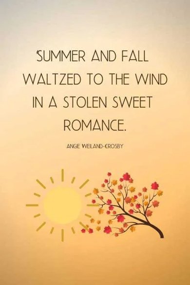 summer and fall waltzed to the wind quote