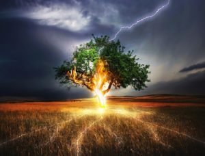 A lightning bolt to a tree.