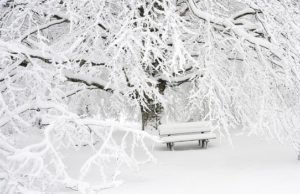 Soul Friend: a snowy bench