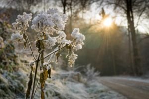 soul story: sunlight and the snow