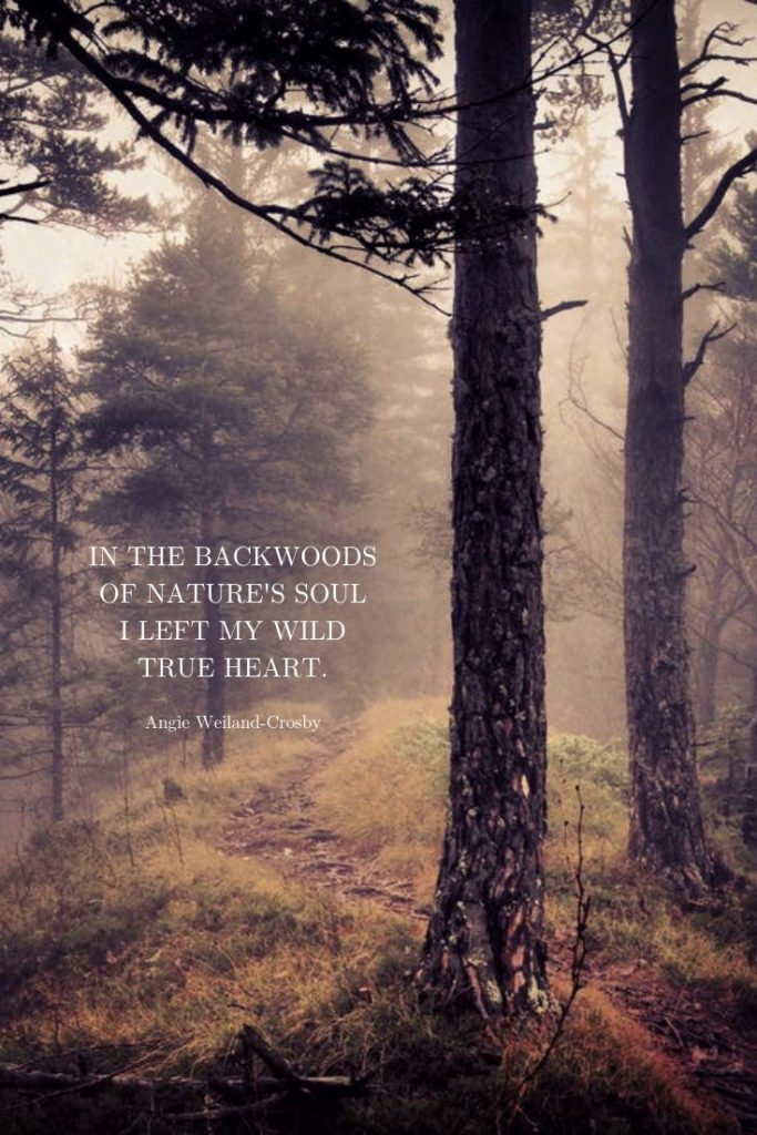 soulful quote with forest...In the backwoods of Nature's soul I left my wild true heart.