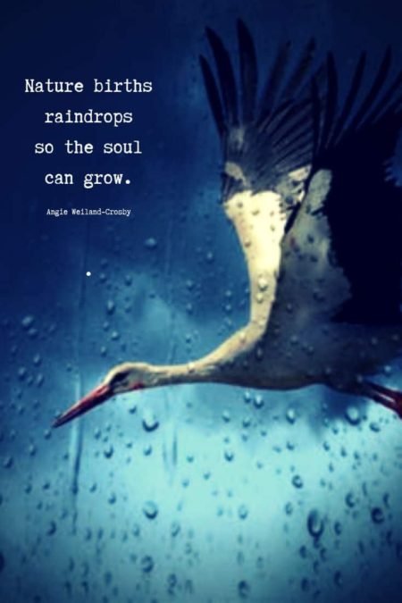 grief quote with a stork in the rain...Nature births raindrops so the soul can grow.