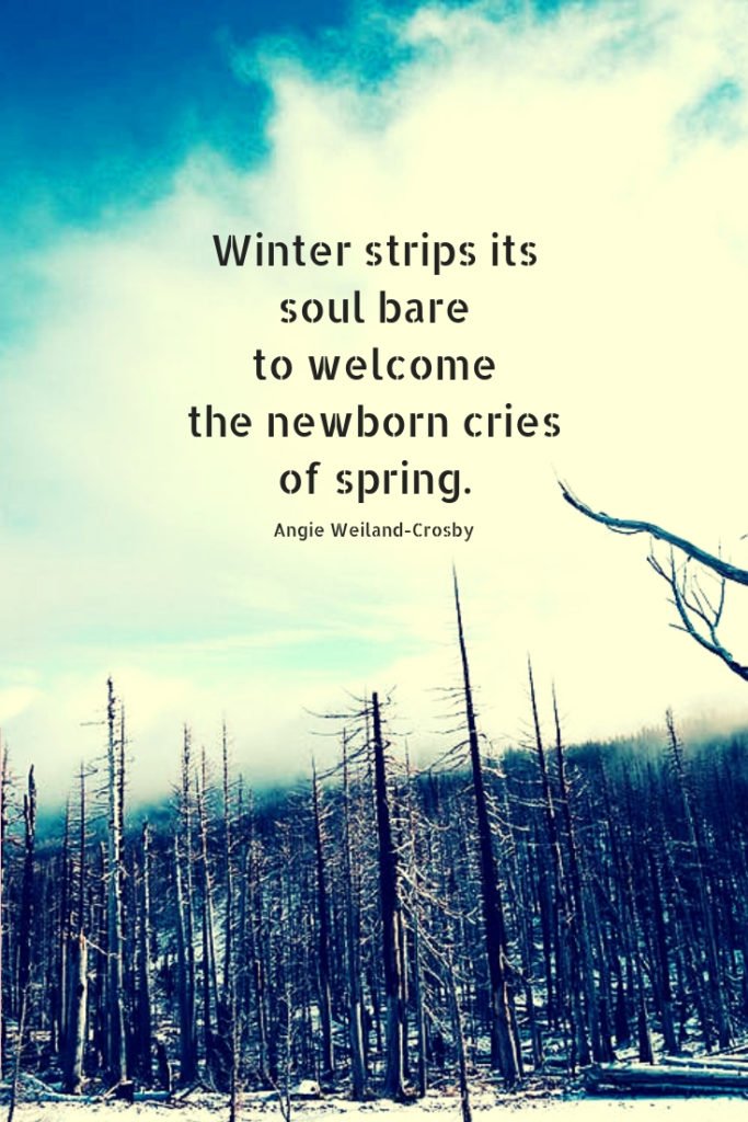 welcome winter season quotes