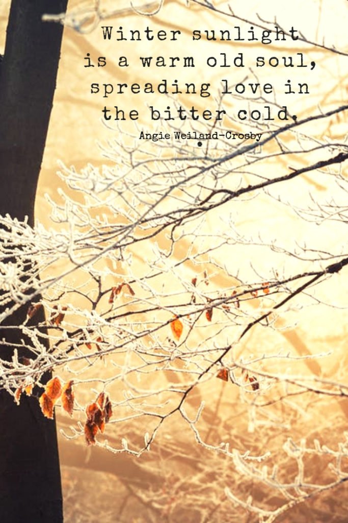 Winter Quotes to Make Your Soul Sparkle Mom Soul Soothers