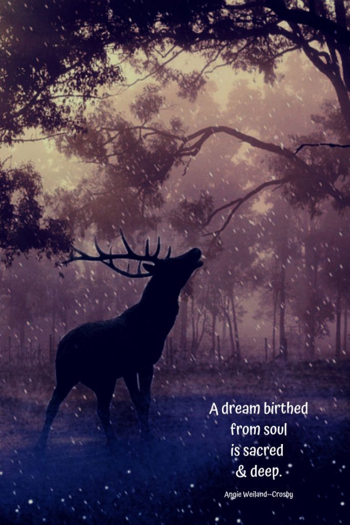 soulful quote with a deer silhouette in a forest at night...A dream birthed from soul is sacred & deep.