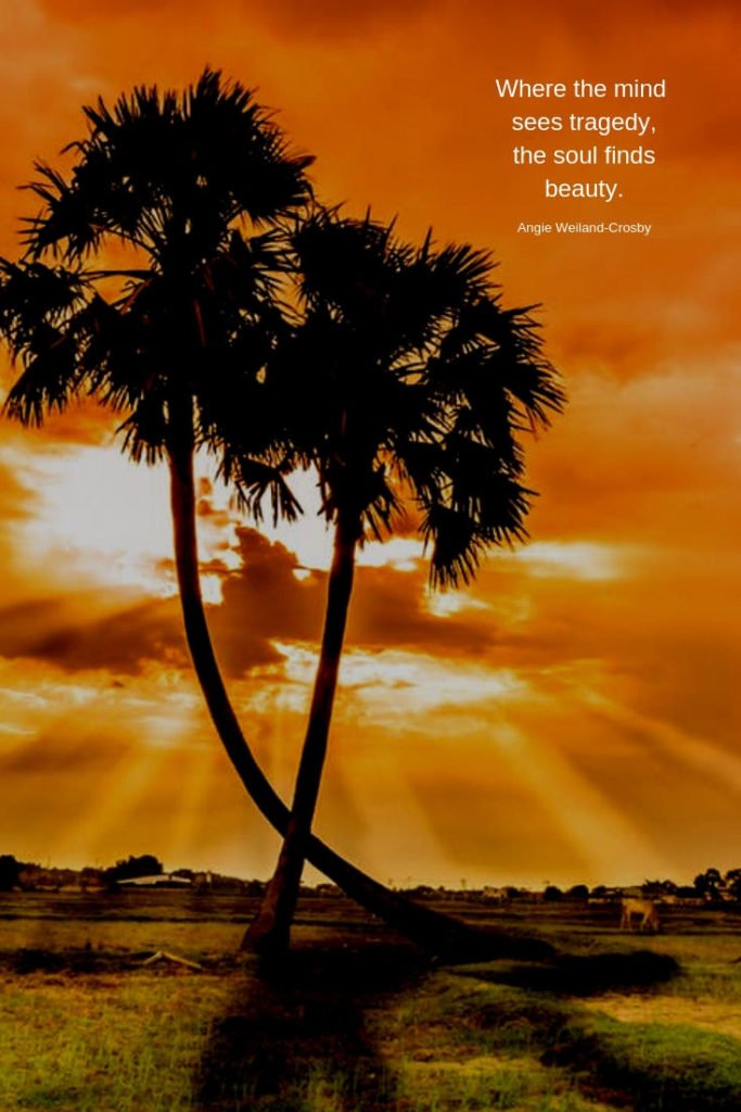 soulful quote with palm trees and a sunset...