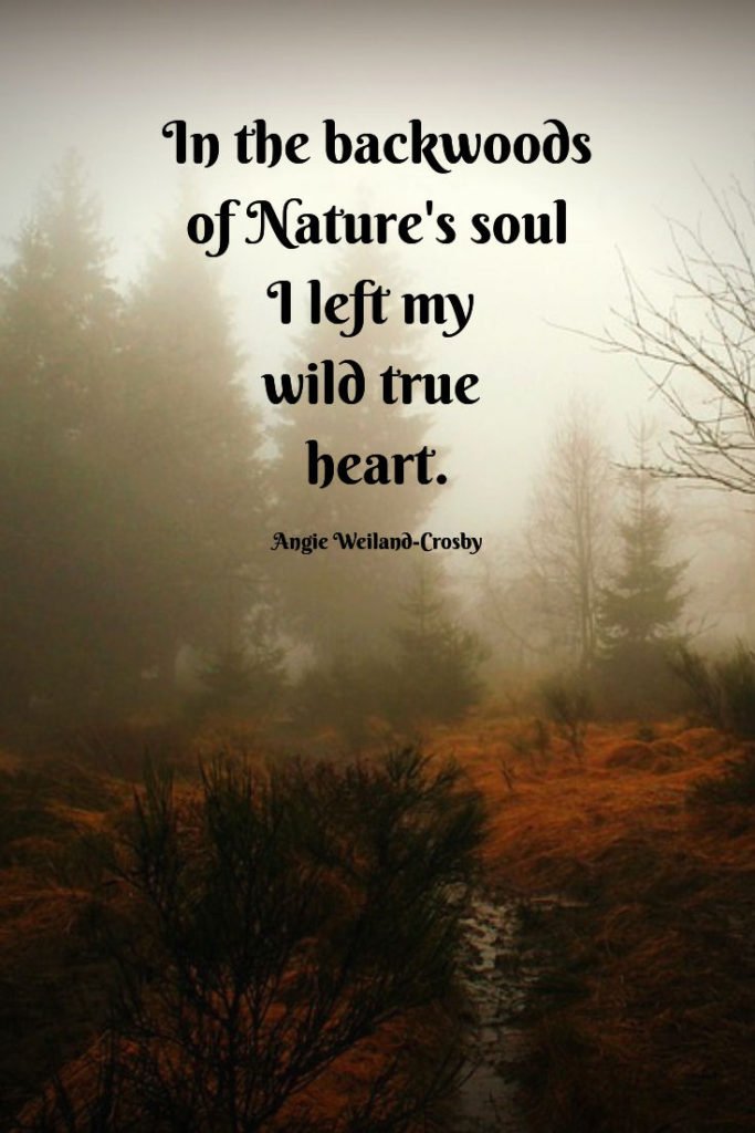 nature quote with a misty forest...