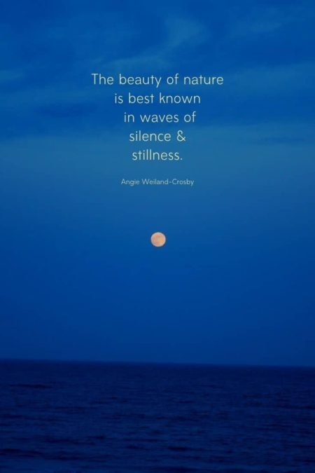 a beauty of nature quote with a full moon over the ocean in summer...