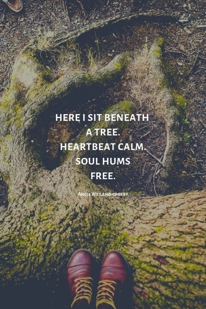 nature quote with a tree and boots..."Here I sit beneath a tree. Heartbeat calm. Soul hums free." Angie Weiland-Crosby