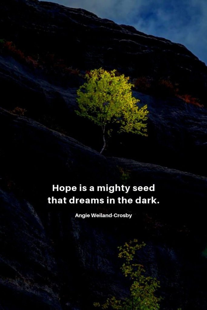 inspirational quote with a picture of a tree on a dark mountain...