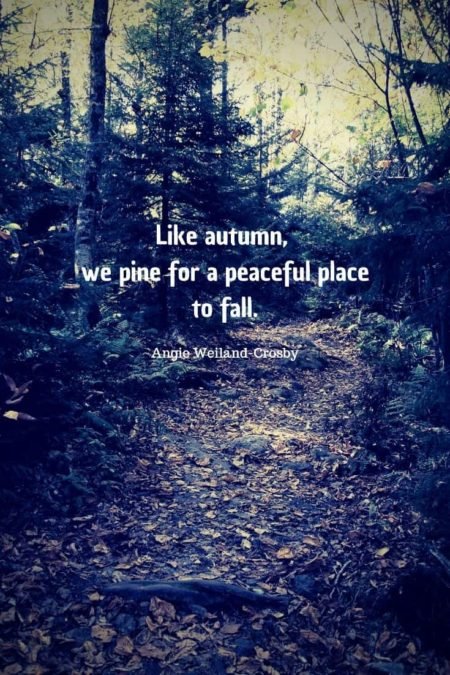 autumn quote about grief with a fall forest...