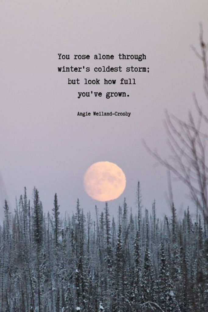 self-love quote | broken soul quote | beautiful you quote | inspirational learning quote | a picture of nature with a full moon in winter | 