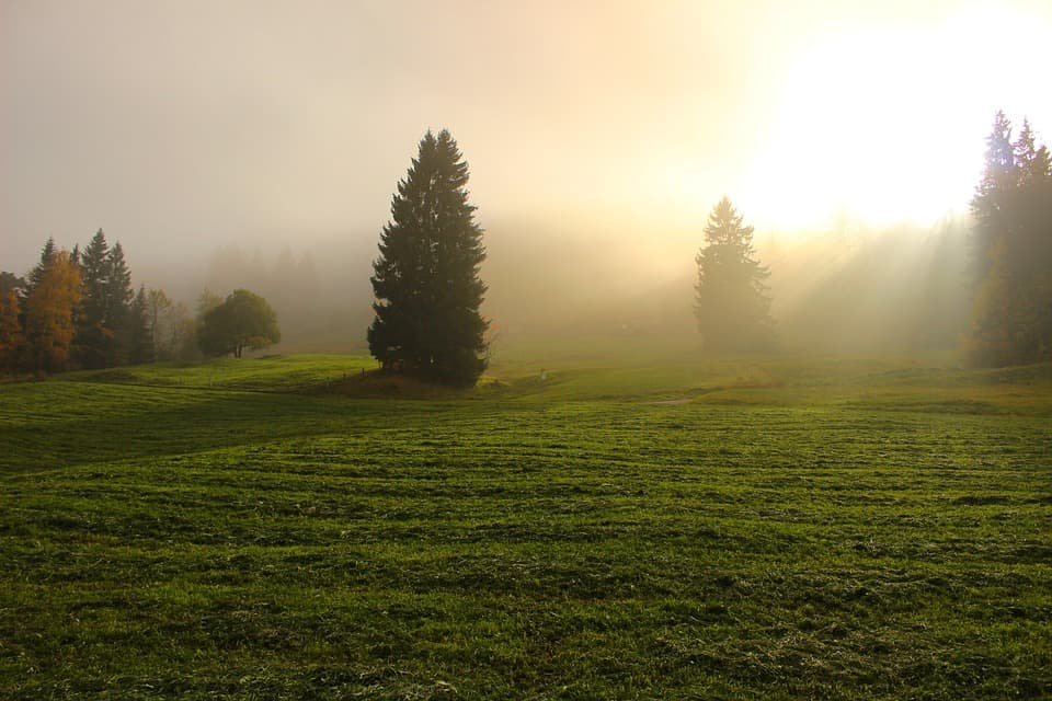 a meditation that places you in this peaceful sunlit field with mist and trees...
