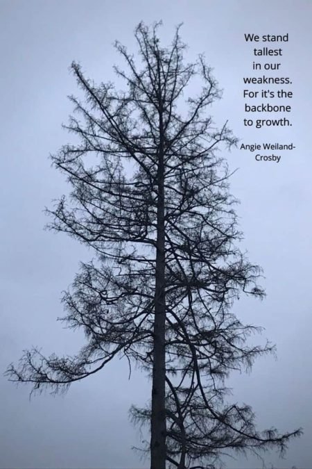 growth quote with a bare tree...