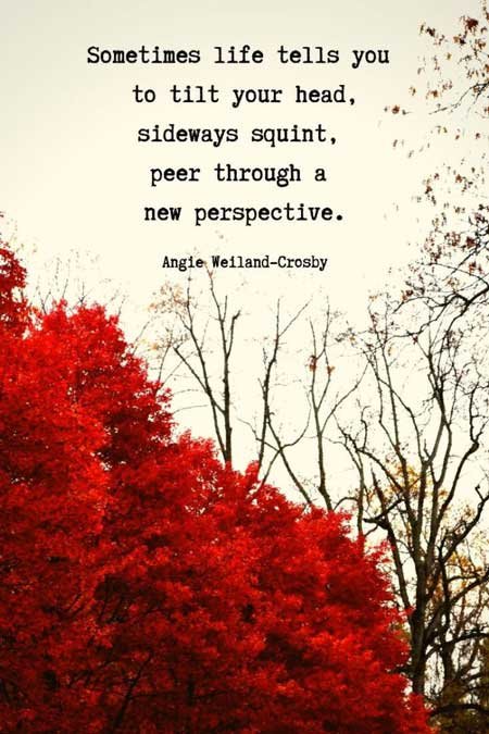 inspirational quote with red leaves and bare trees in autumn...