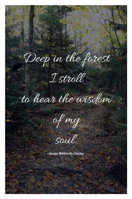 soulful quote with autumn forest...