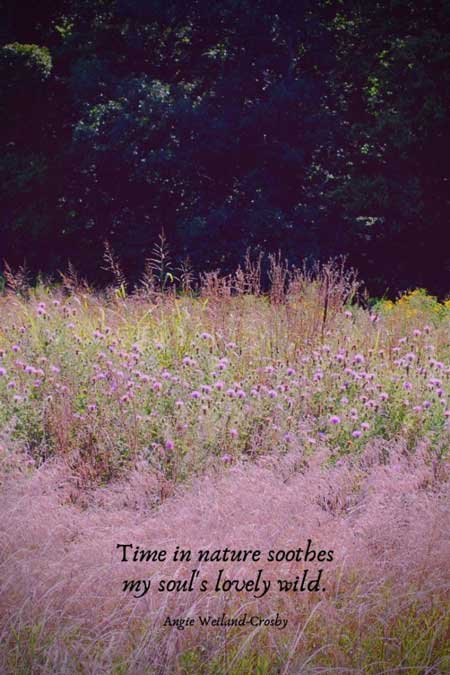 nature quotes | soul quotes | inspirational nature quotes | a picture of nature with a forest and a meadow of thistle | 