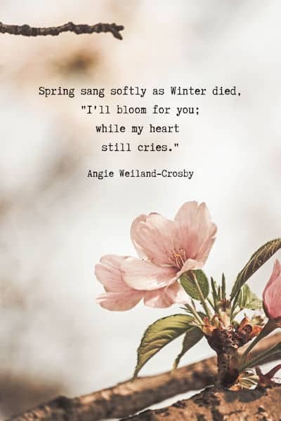 a nature poem 