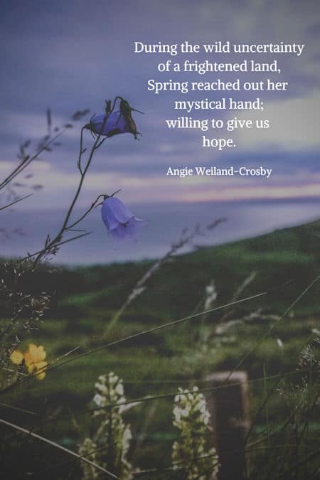 inspirational spring quote with flowers in a moody nature field...
