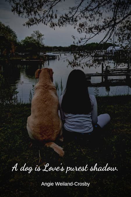 dog quote with a little girl and a yellow lab...