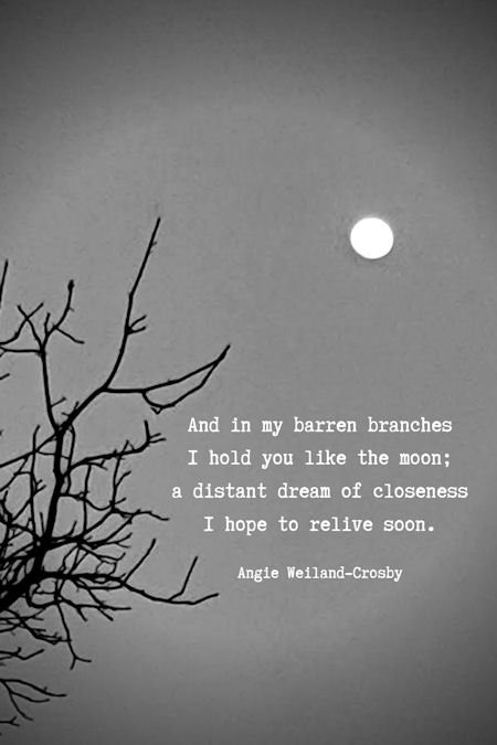 words to inspire about lonelienss...a tree branch and a full moon....