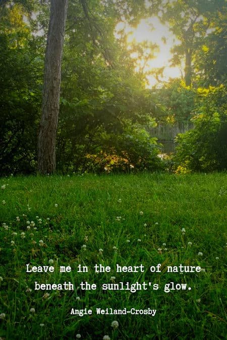 nature love quote with green grass and sunlight...