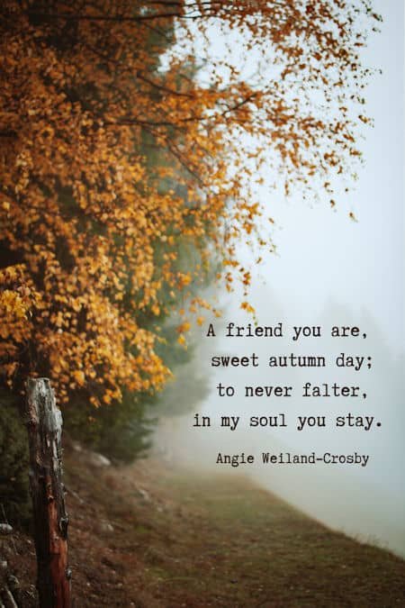 fall friendship quote and moody autumn nature photography by Eberhard Grossgasteiger...