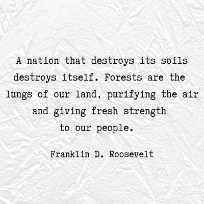 Franklin D. Roosevelt quote about forests...