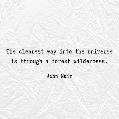 John Muir wilderness quote...