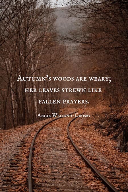 end of autumn quote and a picture of the woods by Adam Bixby...