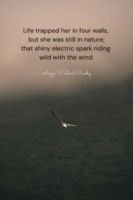 quotes about nature and life
