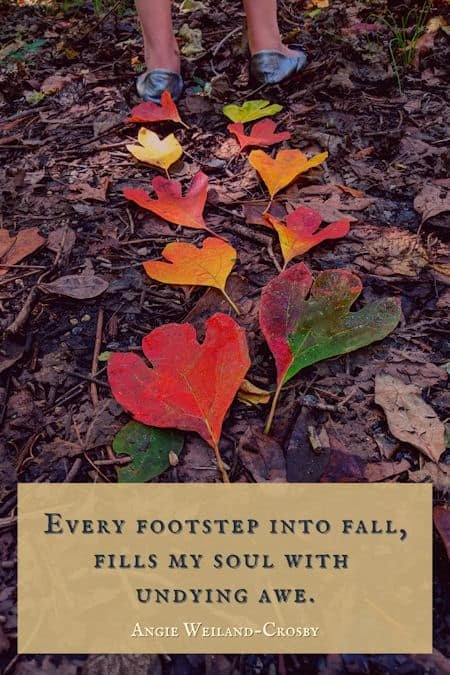 fall soul quote with autumn leaves...