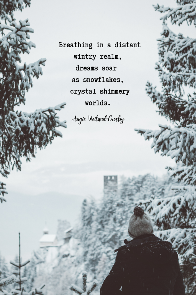 dreamer quote | winter quote | Nature photography of snowfall in Italy by Eberhard Grossgasteiger...