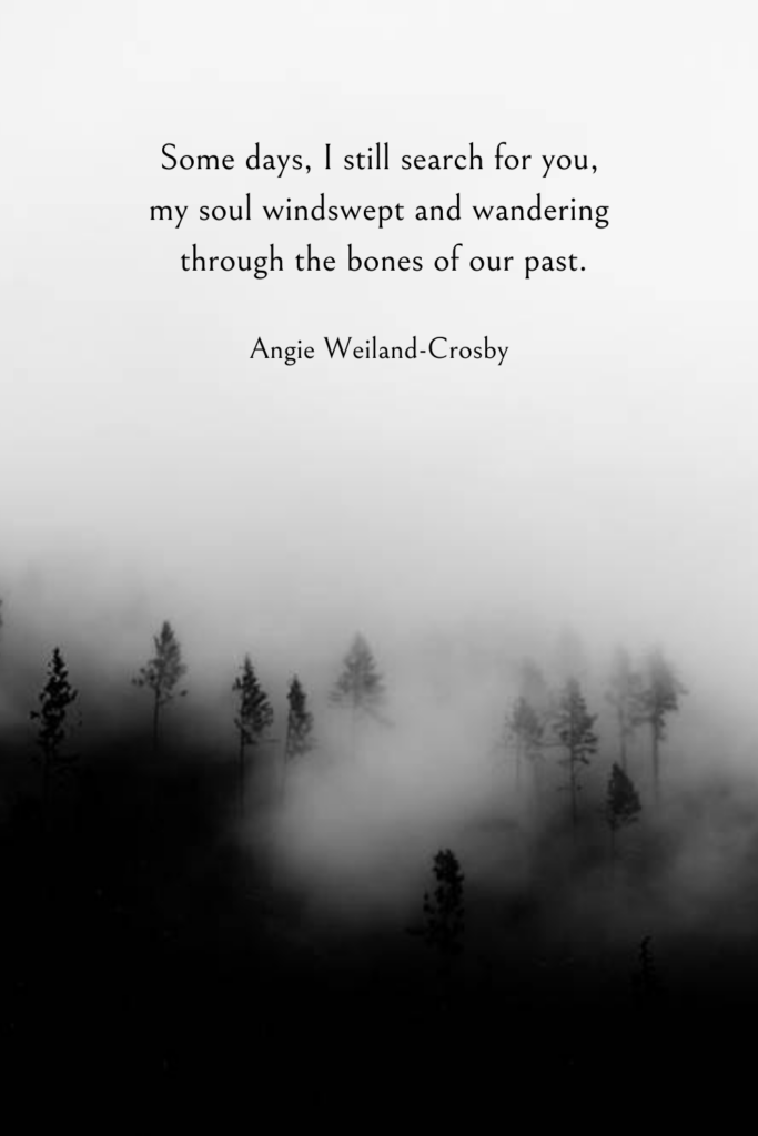 sadness quote . . . nature photography of a dark forest and fog by Eberhard Grossgasteiger
