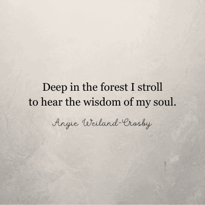 forest quote from the pages of Scarlet Oak by Angie Weiland-Crosby