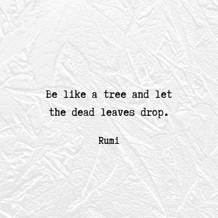 tree quote by Rumi . . . 