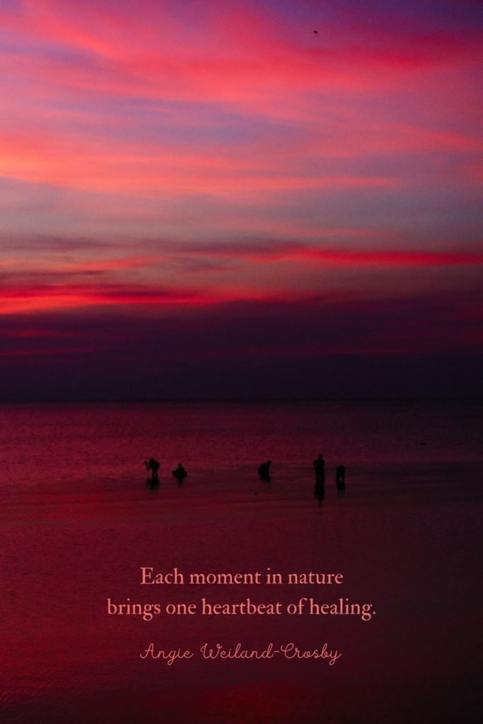 nature quote with peaceful nature photography by Alexy Demidov